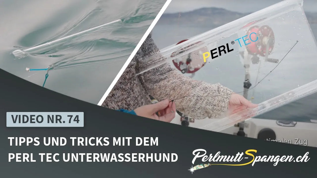 Tipps und Tricks mit dem PERL TEC Unterwasserhund