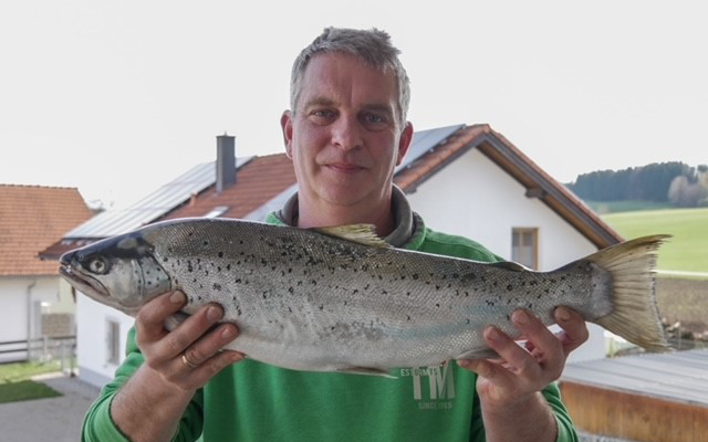 Seeforelle 67cm Bodensee