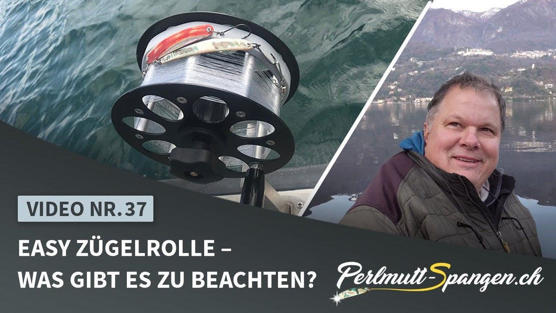 Easy Zügelrolle