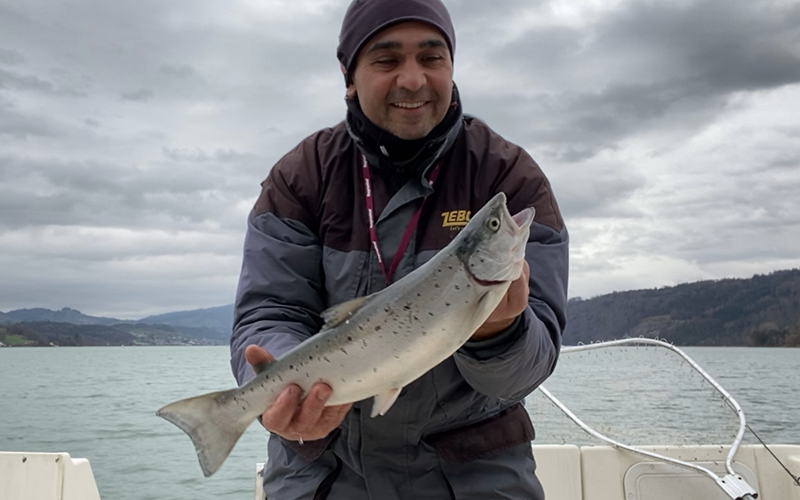 Seeforelle 54er Zürichsee