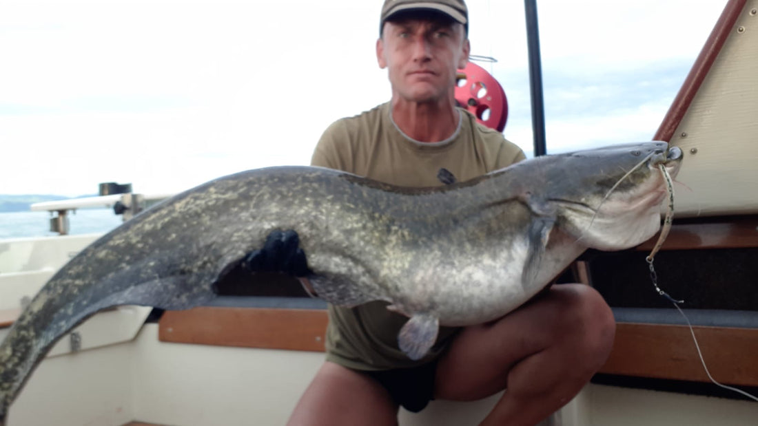 Wels Doublette 130cm/160cm Bodensee