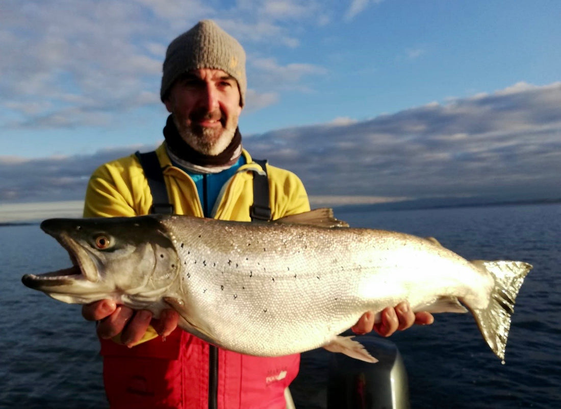 Seeforelle 80cm Bodensee