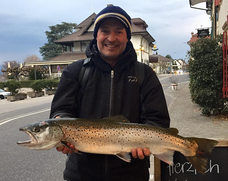 Seeforelle 80cm Murtensee