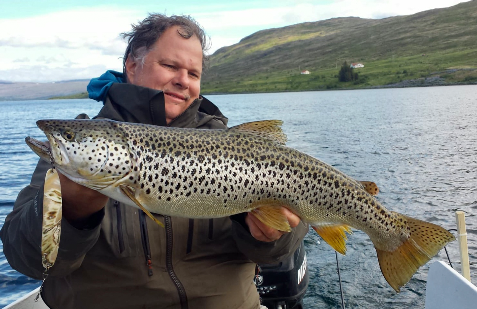 Seeforelle / Browntrout Island