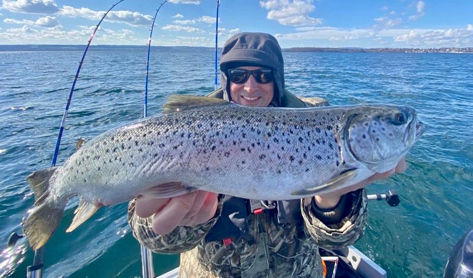 Seeforelle 52 & 57cm Bodensee