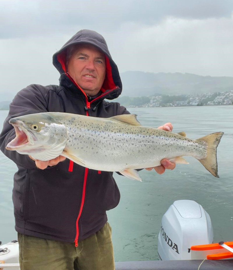 Seeforelle 64cm Zürichsee