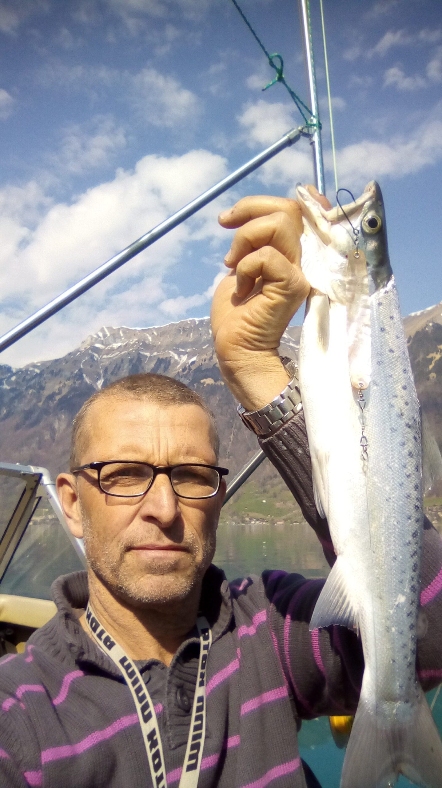 Seeforelle 52cm Brienzersee