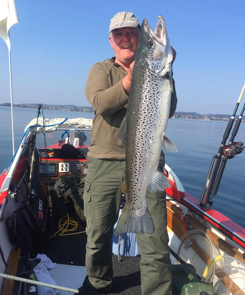 Seeforelle 88cm Bodensee