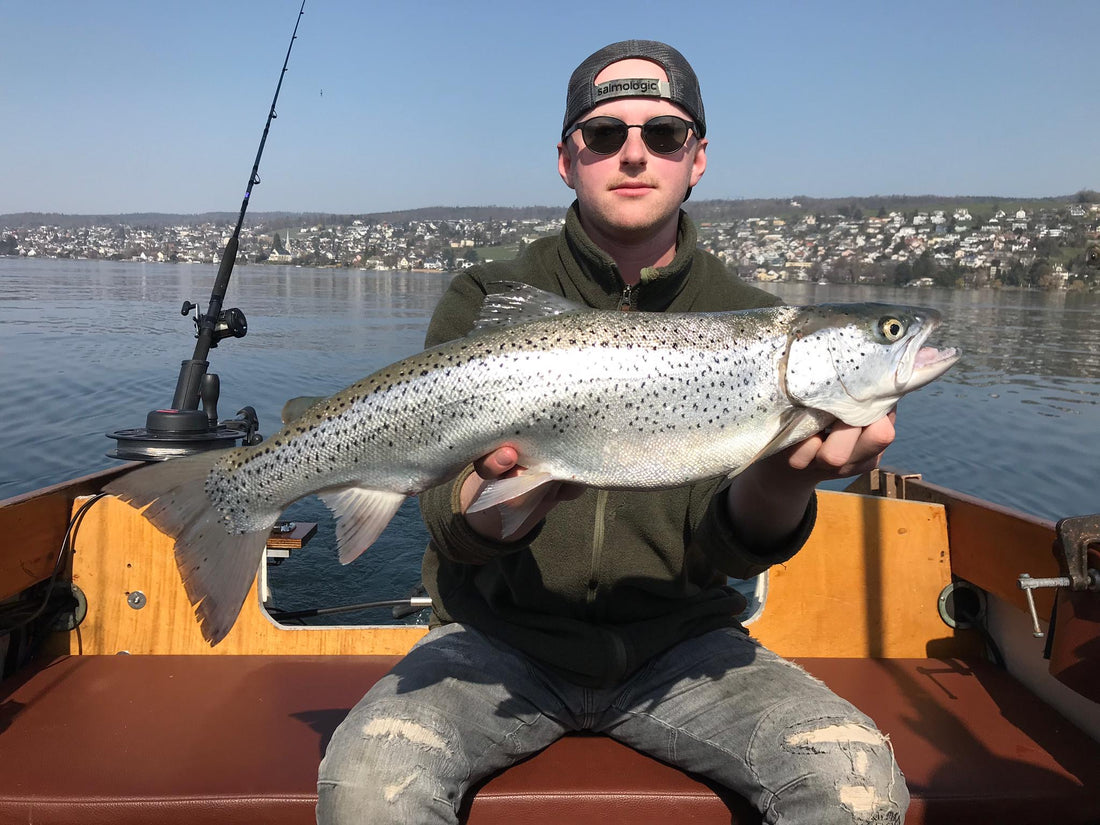 Seeforelle 68cm Zürichsee