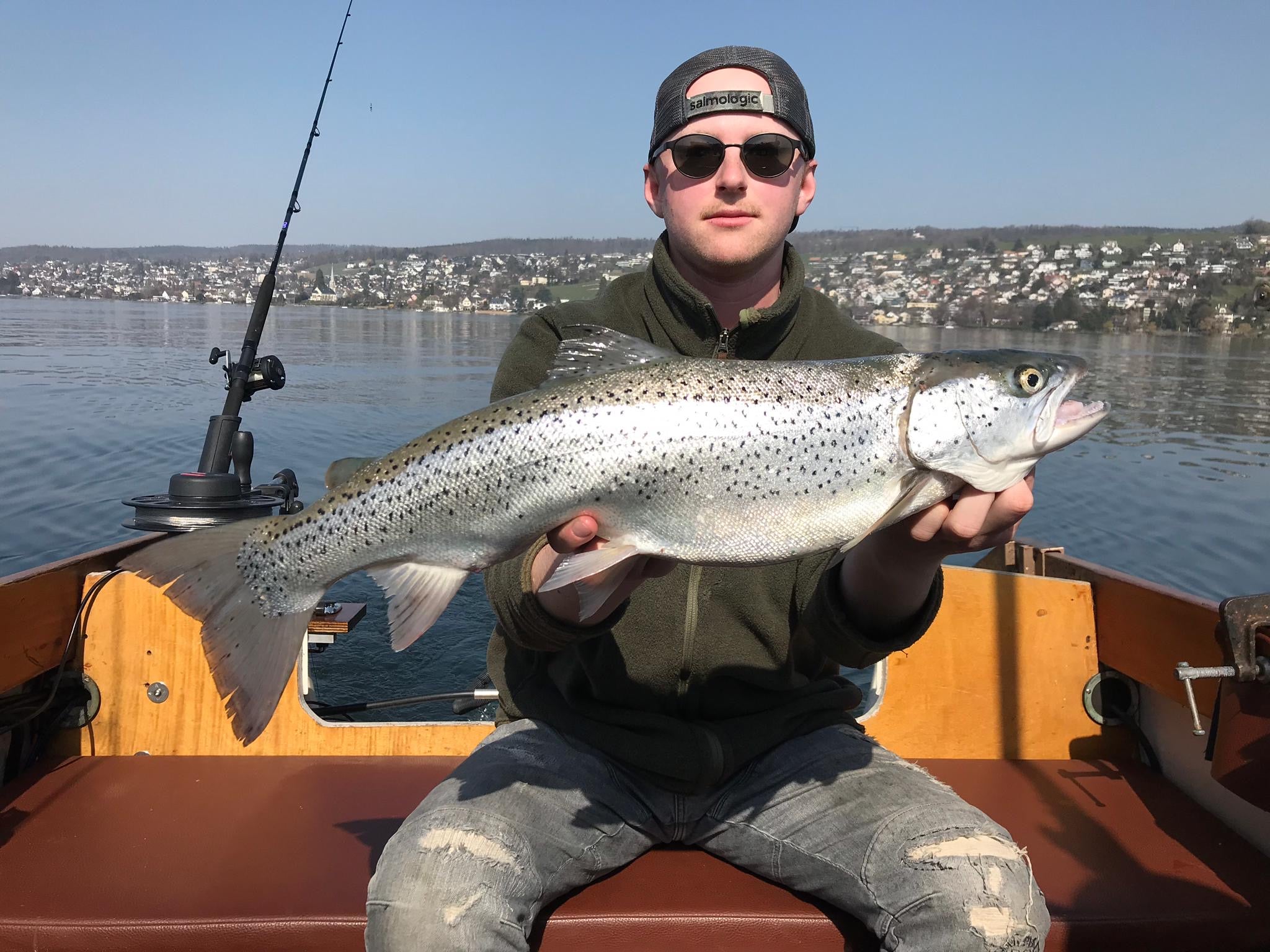 Seeforelle 68cm Zürichsee