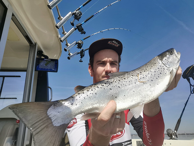 Seeforelle 59cm Zugersee