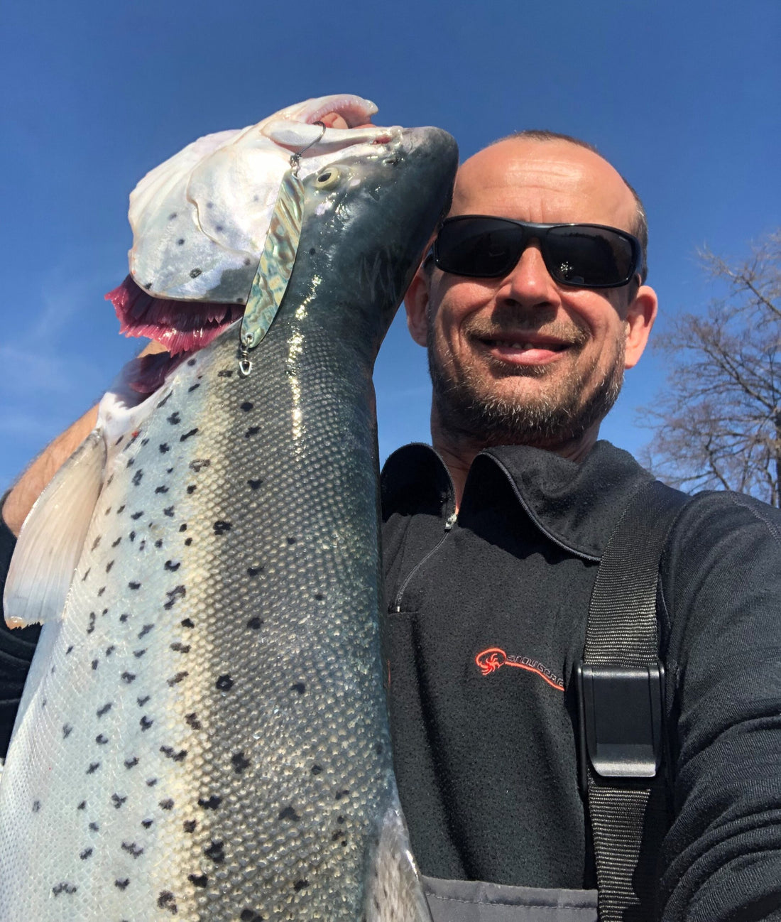 Seeforelle 81cm
