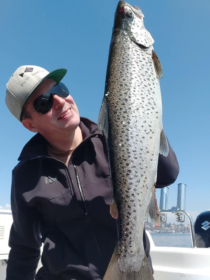 Seeforelle 61cm Bodensee