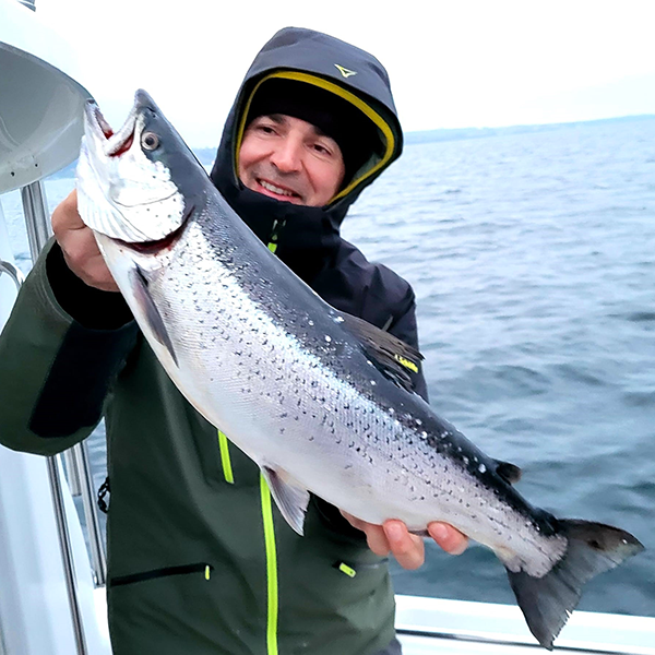 Seeforelle 64cm Bodensee