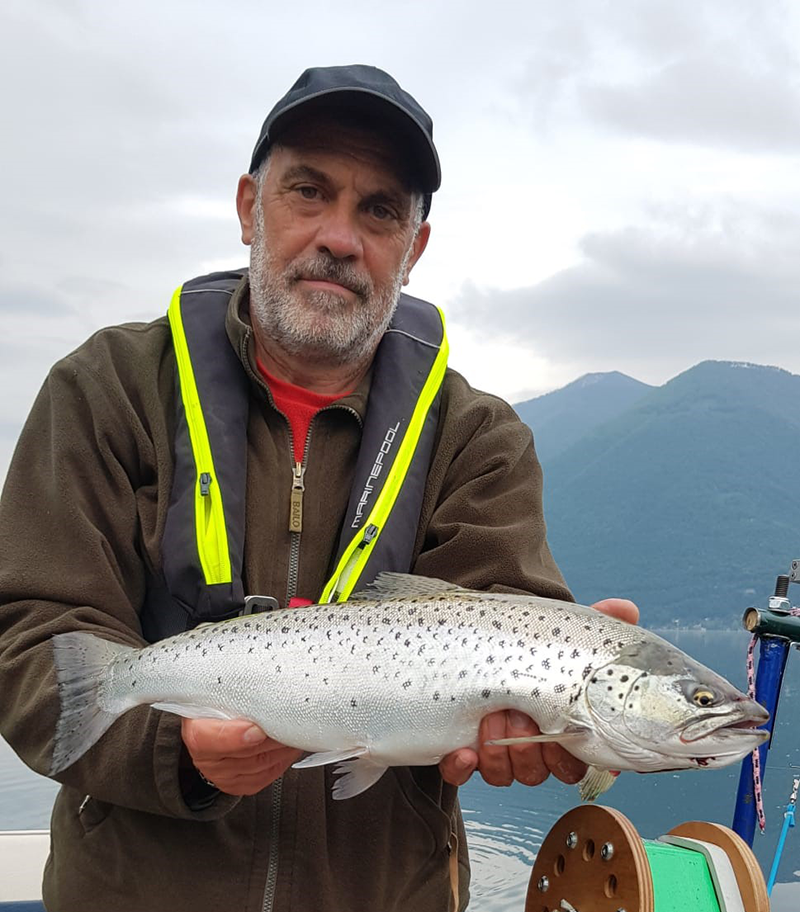 Seeforelle 2,1 Kg Luganersee