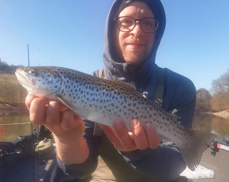 Seeforelle knappe 50cm aus den Talsperren