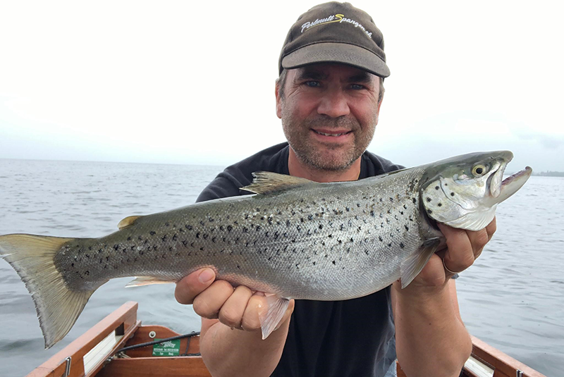 Seeforelle 51cm Bodensee