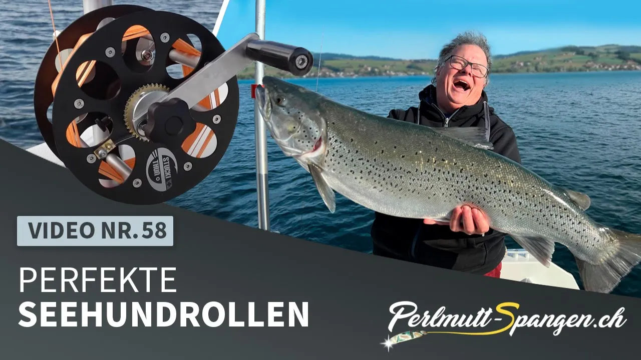 Perfekte Seehundrollen