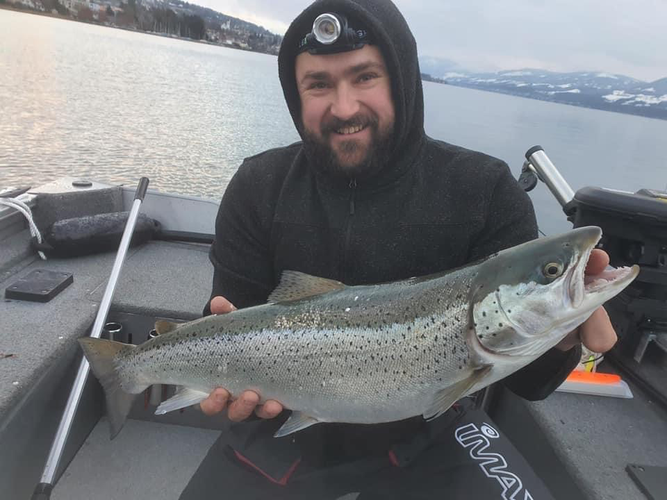 Seeforelle 68cm Zürichsee