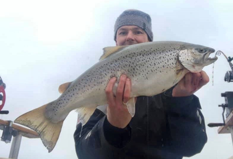 Seeforelle Bodensee 70cm