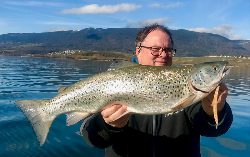 Seeforelle 62cm Neuenburgersee