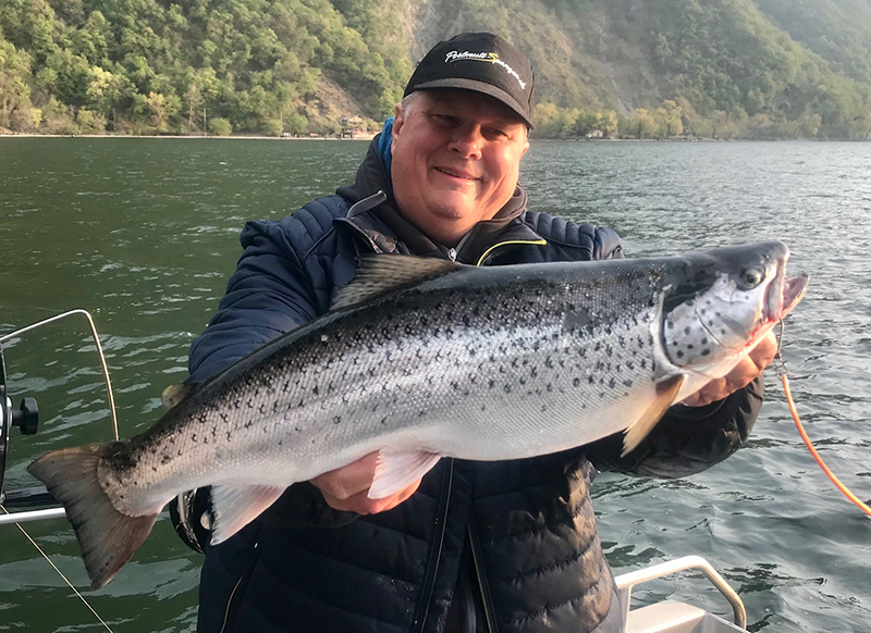 Seeforelle 56cm Luganersee