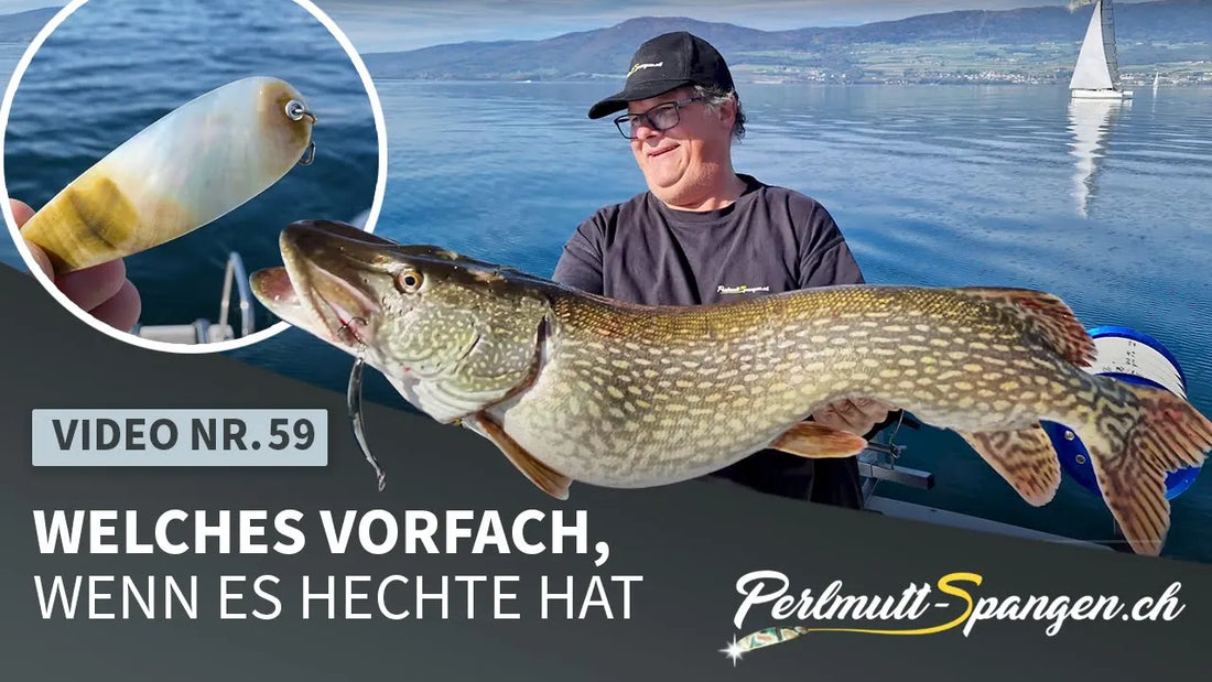 Welches Vorfach, wenn es Hechte hat
