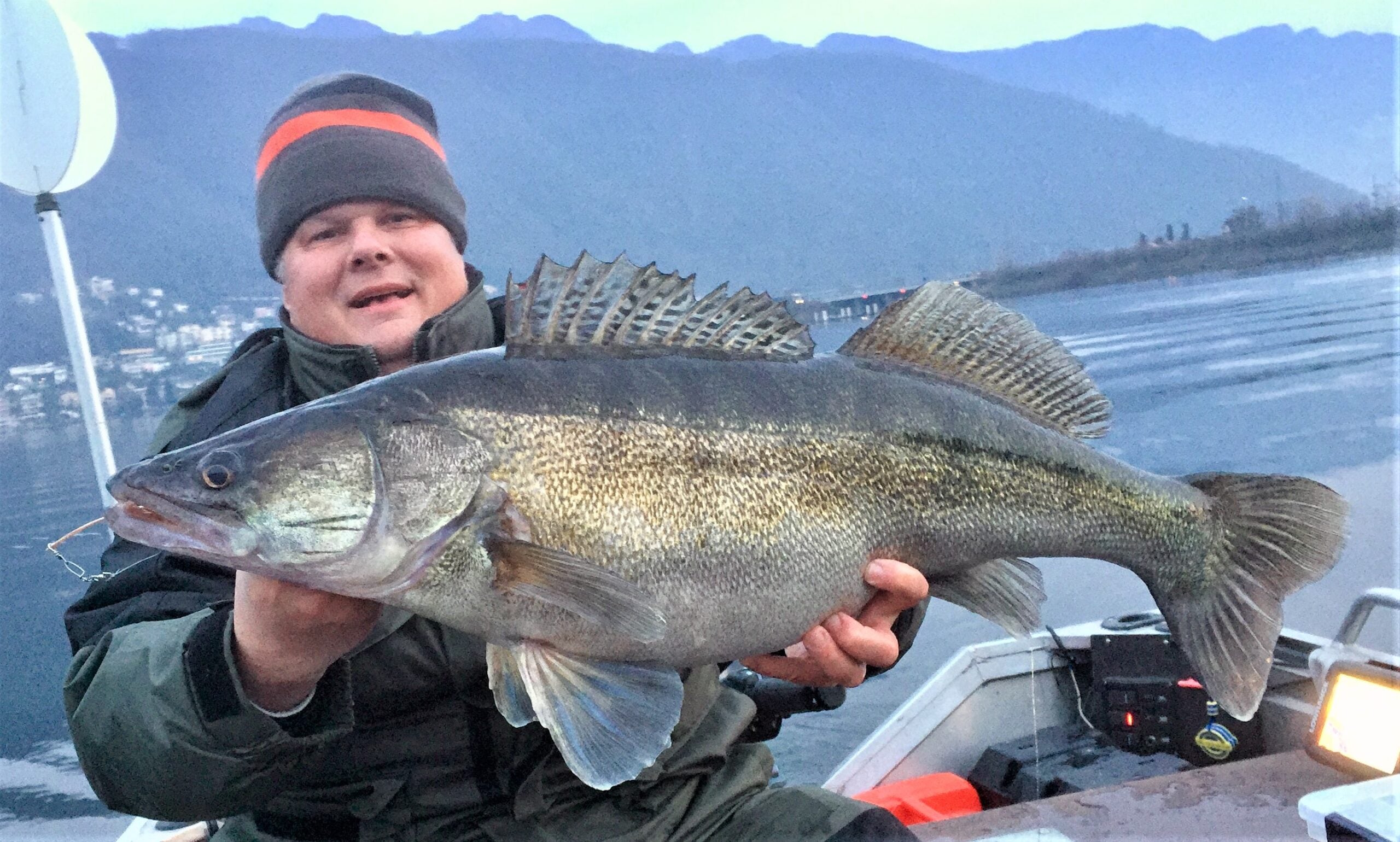 Zander 85cm auf Rainbow Perlmutt