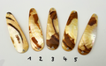 Gold Lip Unikat Perlmutt-Tropfen 10cm