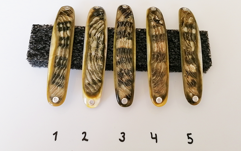 Jade mit Kruste Premium Perlmutt-Spange 9cm