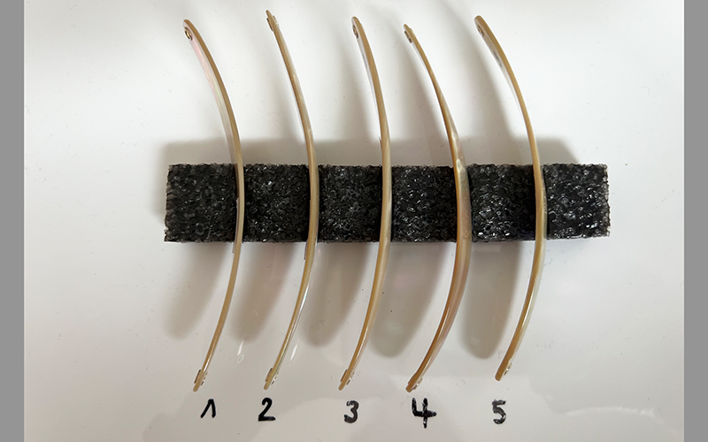 Burgus Blank Premium Perlmutt-Spange 12cm