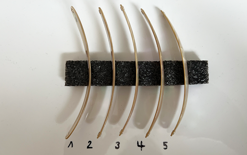 Burgus Blank Premium Perlmutt-Spange 13cm