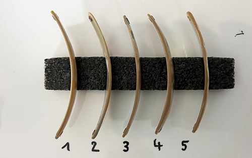 Burgus Premium Perlmutt-Spange 9cm