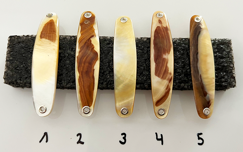 Gold Lip Premium Perlmutt-Spange 7cm