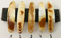 Gold Lip Premium Perlmutt-Spange 8cm