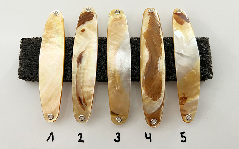 Gold Lip Premium Perlmutt-Spange 9cm