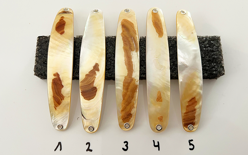 Gold Lip Premium Perlmutt-Spange 10cm
