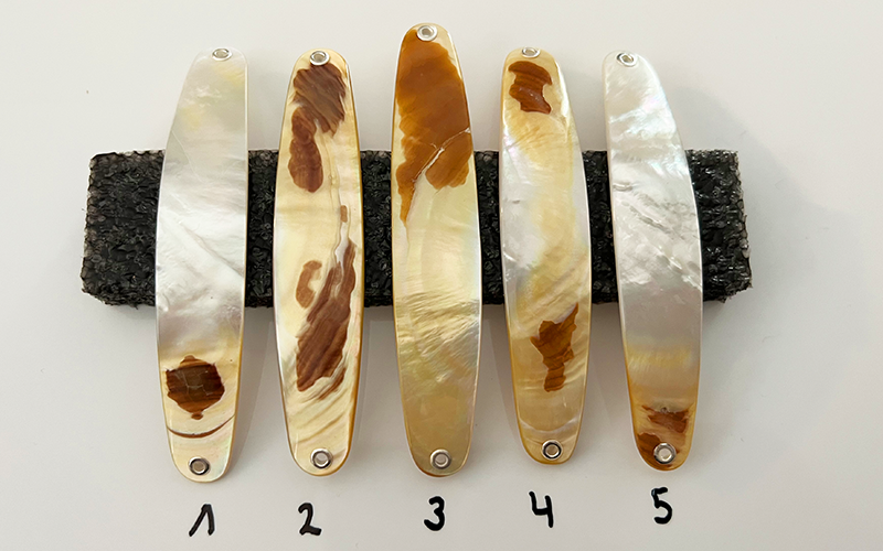 Gold Lip Premium Perlmutt-Spange 10cm