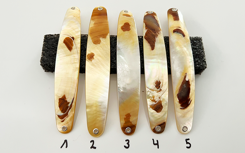 Gold Lip Premium Perlmutt-Spange 12cm