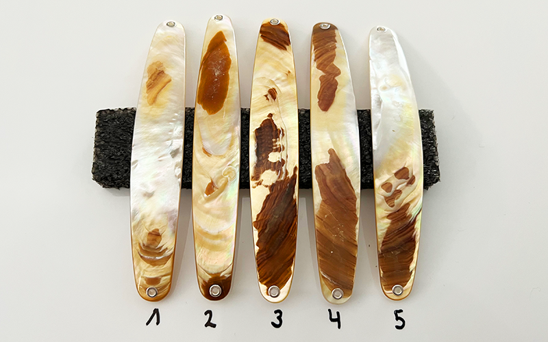 Gold Lip Premium Perlmutt-Spange 13cm