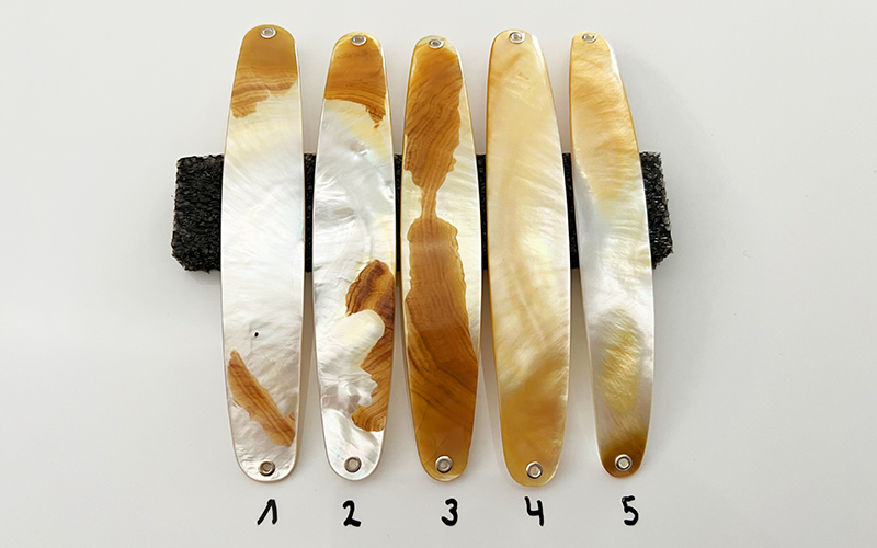 Gold Lip Premium Perlmutt-Spange 14cm