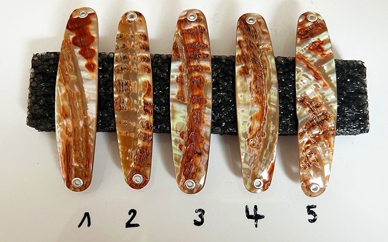 Goldfisch Premium Perlmutt-Spange 8cm