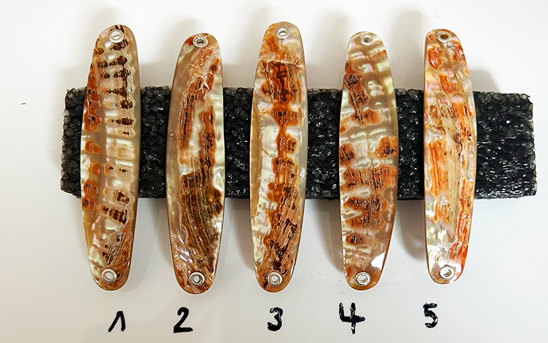 Goldfisch Premium Perlmutt-Spange 8cm