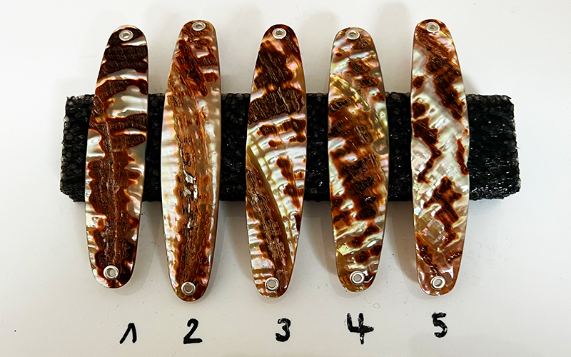 Goldfisch Premium Perlmutt-Spange 9cm