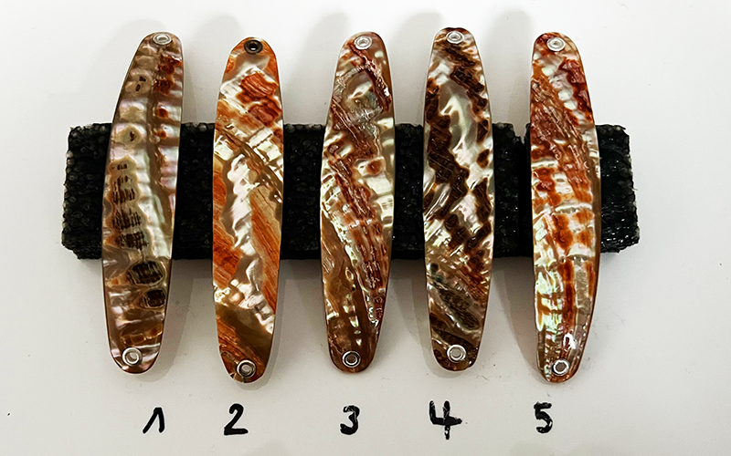 Goldfisch Premium Perlmutt-Spange 9cm