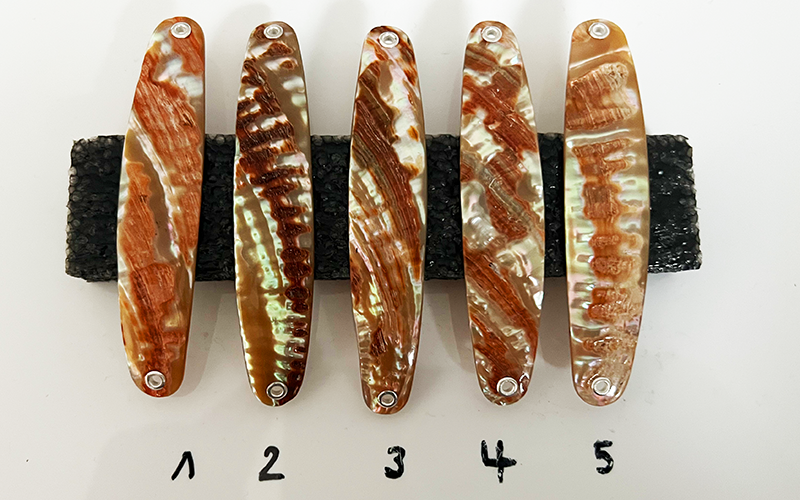 Goldfisch Premium Perlmutt-Spange 9cm