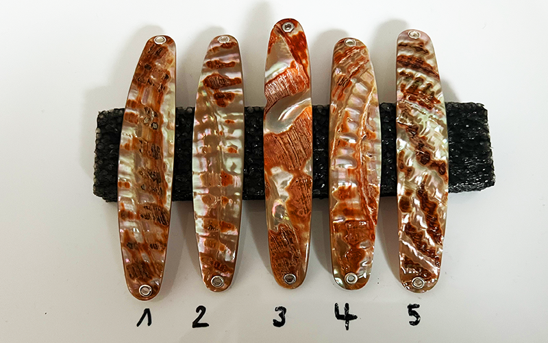 Goldfisch Premium Perlmutt-Spange 10cm