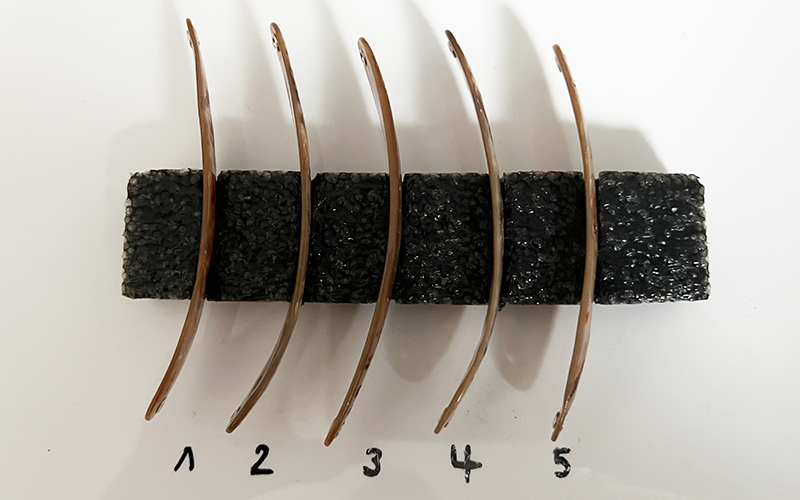 Goldfisch Premium Perlmutt-Spange 10cm