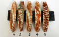 Goldfisch Premium Perlmutt-Spange 10cm
