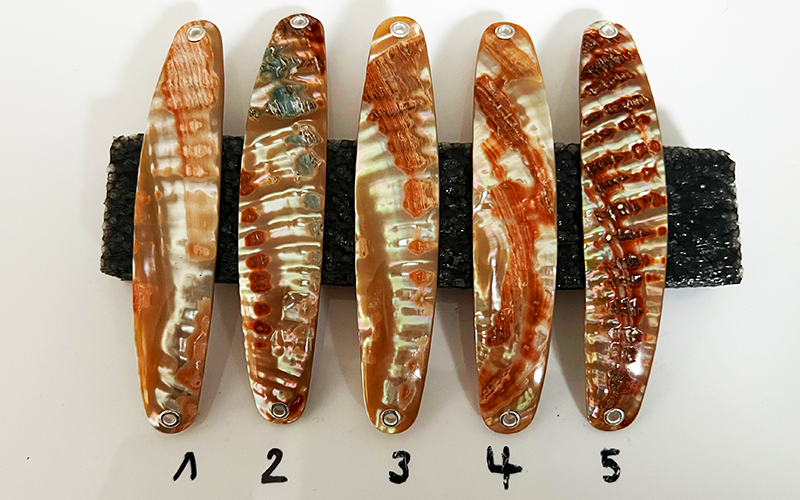 Goldfisch Premium Perlmutt-Spange 10cm